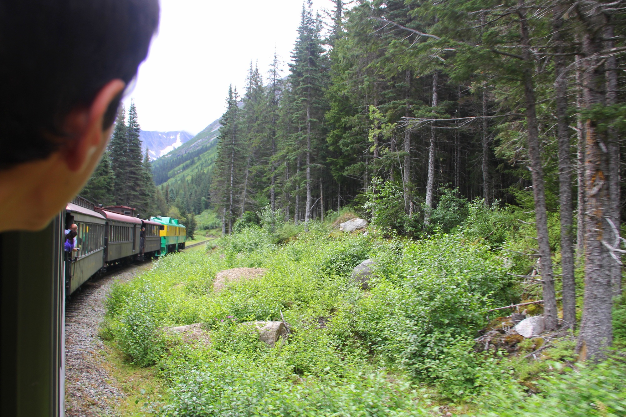 Millennial traveler enjoying a beautiful Skagway-Alaska train scenic view train ride with nature